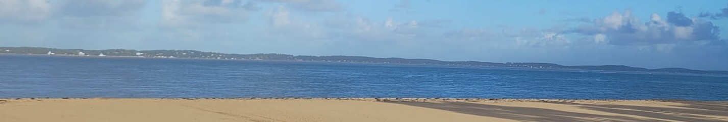 Vue du Bassin d'Arcachon - SécuPC